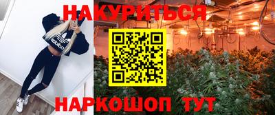 spice Кинель