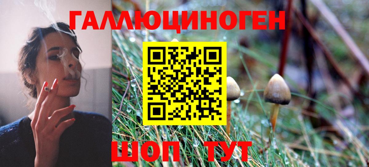 Галлюциногенные грибы Cubensis Красноуфимск